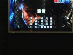 -V-SHOW主题KTV(新城店)