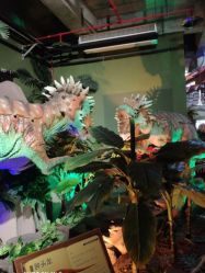 -恐龙探索乐园(磁器口店)