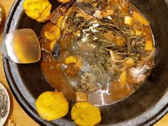 -鸽子刘铁锅炖鱼(劲松店)