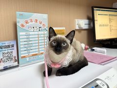 -谐和益家动物医院·免疫绝育·血液透析·宠保定点医院(高新伊藤分院)