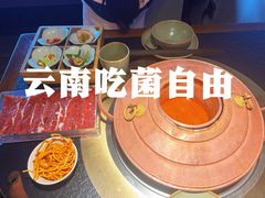 -菌自由丨野生菌火锅特色庭院餐厅(丽江古城店)