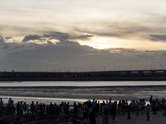 -宝安西湾红树林湿地公园