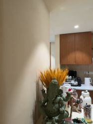 点击看大图 -阿南达·瑜伽普拉提·阿育吠陀疗愈中心