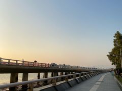 -演武大桥观景平台