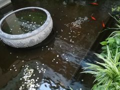 -旺顺阁鱼头泡饼(小红门店)