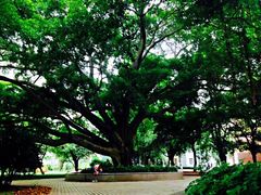 -广西大学(大学东路校区)