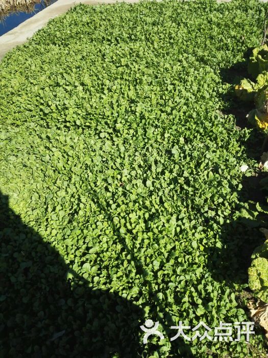 艺康按摩养身店-图片-西昌市休闲娱乐-大众点评网