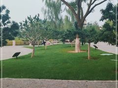 -西海子公园