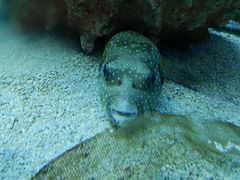 -多彩贵州城极地海洋世界