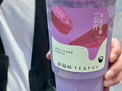 -星满杯TEAFUL(罗湖东门店)