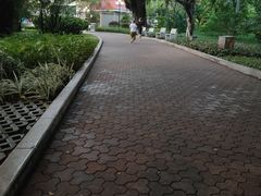 -东风公园
