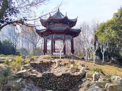 -古琴台