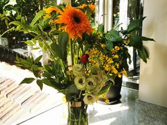 -蝶舍·MAISON PAPILLON