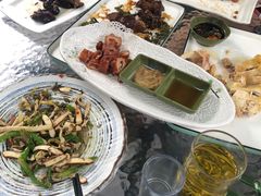 -阿巧茶庄