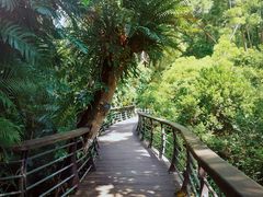 -深圳仙湖植物园