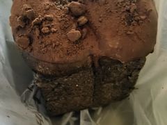 -津乐园(芥园道店)