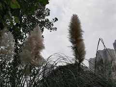 -府河摄影公园