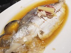 酒香蒸鲥鱼-上海1号私藏菜(静安店)