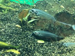 -常州海昌海洋探索馆