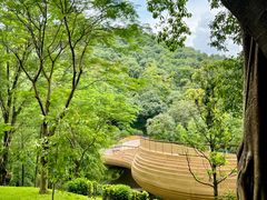 -云溪植物园