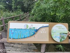 -成都市活水公园