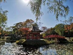 -北海道厅旧本厅舍(旧本庁舎)