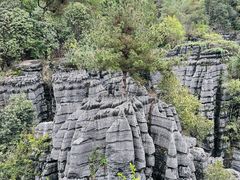 -梭布垭石林景区