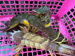 -班赞海鲜市场