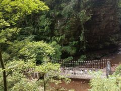 -碧峰峡风景区
