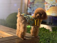 -万龙洲海鲜(大兴绿地缤纷城店)