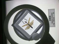 -上海昆虫博物馆