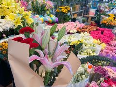 -曲阳花鸟市场(曲阳路店)