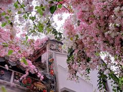 -深圳国际园林花卉博览园