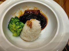 -鲁宴·鲁煨黄河生态大鲤鱼(月坛店)