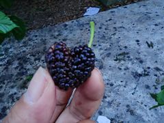 -丝绸小镇荻港古村