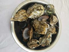 -宾朋海鲜特色美食餐厅·纯手工鲅鱼水饺(兴海路店)