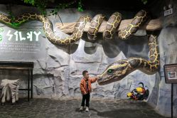 -Zoolung Zoolung动物主题公园(海信广场店)