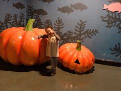 -烟台海昌鲸鲨海洋公园