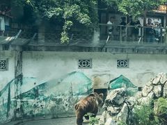 -成都动物园