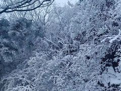 -妙峰山风景名胜区