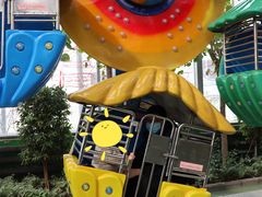 游乐设施-南宫五洲植物乐园