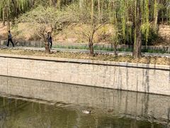 -元大都城垣遗址公园