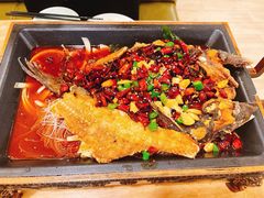 -老蜀人川菜馆(中关村店)