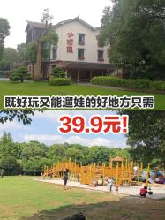 -长沙小顽国景区