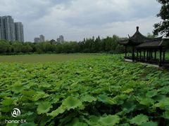 -高子水居