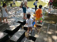 -成都市活水公园