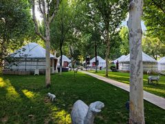 -九十九顶毡房(阜石路店)