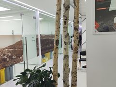 -极简口腔(总院)