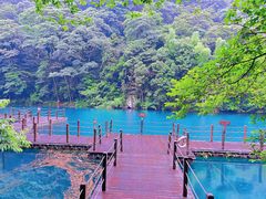 -祁门牯牛降观音堂风景区