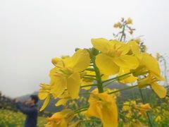 android_upload_pic-广州市石门国家森林公园